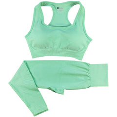 2PCS Women's Seamless Yoga Set – High Waist