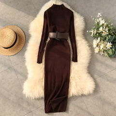 Fall and winter turtleneck sweater dress at the waist