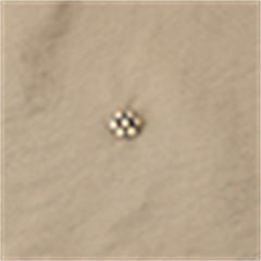 Solid Color Worsted Embellished Set Diamond Skirt - kinko