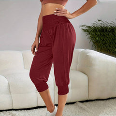 Women's Home Casual Pants High Waist Temperament Ankle-tied Harem Pants - kinko
