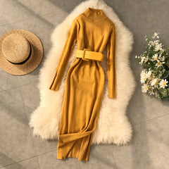 Fall and winter turtleneck sweater dress at the waist