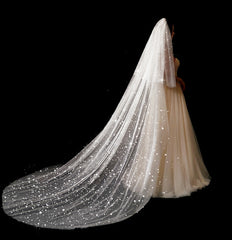 Bridal Wedding Dress Long Tail Luxury Super Fairy Wedding Veil - kinko