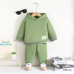 Infant Baby Boy Clothing Sets Spring Autumn Casual Suits Hooded Coat Tops+Harem Pants 2pcs Set Boys Kids Tracksuit