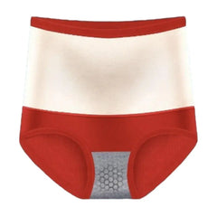 Thick Plush Women Underpants Winter Warm Underwear Uterus High Waist Tummy Control Elastic Soft Lady Panties Briefs