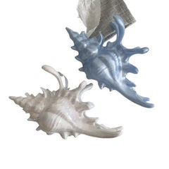 Ocean Shark Claw Clip For Women Conch Hair Claw Clip For Cute Beach Hair Accessories