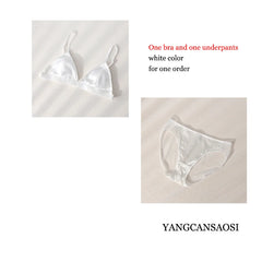 Women's Fashion and Sexy New Style Detachable Breathable Natural Mulberry Silk Underwear Set Sexy French Triangle Cup Underwear