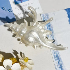 Ocean Shark Claw Clip For Women Conch Hair Claw Clip For Cute Beach Hair Accessories