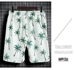 Beach Clothes For Men 2 Piece Set Quick Dry Hawaiian Shirt and Shorts Set Men Fashion Clothing Printing Casual Outfits Summer