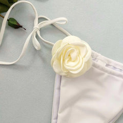 Lingirie Woman Lingerie Women Set Sexy Lingerie Woman Senxual Transparent Bra and Underwear Set Lingeries Sexy Femme Bodysuits