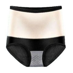Thick Plush Women Underpants Winter Warm Underwear Uterus High Waist Tummy Control Elastic Soft Lady Panties Briefs