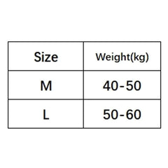 Comfortable Seamless Ice Silk Panties Cotton Crotch Low Waist Lace Bow Briefs Underpants Underwear Women's Summer Panties Lady