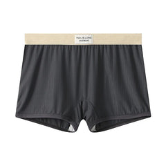 נשים תחתוני משי קרח לנשימה גבירותיי בטיחות קצר מכנסיים נשיים חלקים תחתונים מהירים יבשים Boyshorts נוחים בוקסר