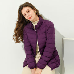 Fall And Winter Korean Style Stand-collar Ladies Down Jacket