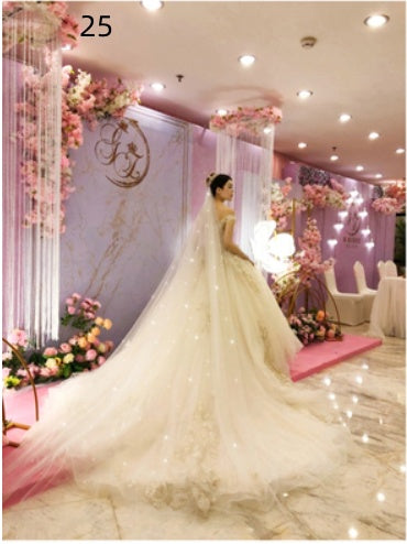 Bridal Wedding Dress Long Tail Luxury Super Fairy Wedding Veil - kinko