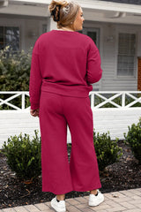 Double Take Full Size Textured Long Sleeve Top and Drawstring Pants Set - kinko