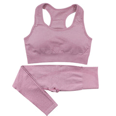 2PCS Women's Seamless Yoga Set – High Waist