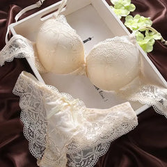 Damen 2-teiliges Dessous-Set: Sexy Push-up-BH mit tiefem V-Ausschnitt, floraler Spitze und passendem Höschen mit Stickerei