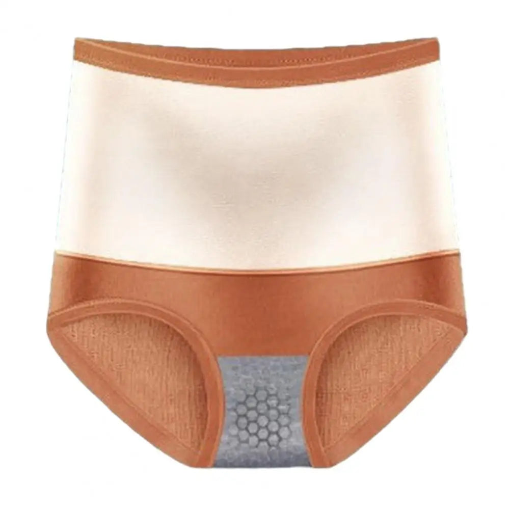 Thick Plush Women Underpants Winter Warm Underwear Uterus High Waist Tummy Control Elastic Soft Lady Panties Briefs